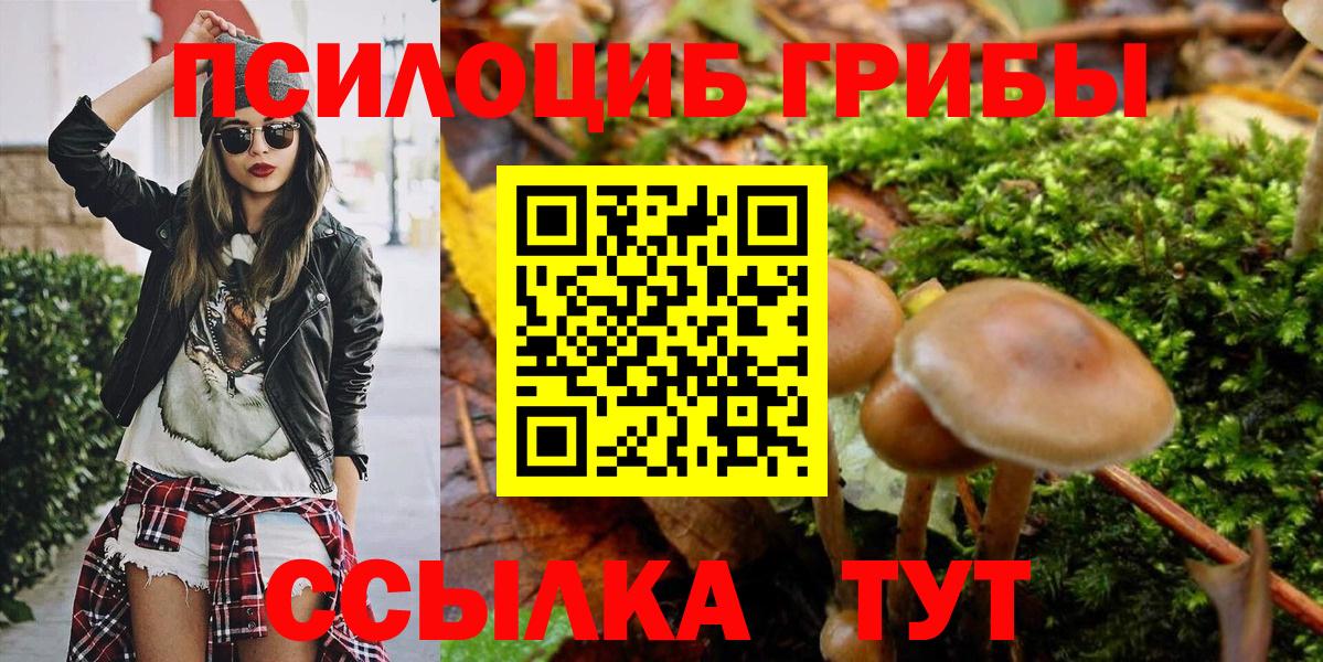 Галлюциногенные грибы мицелий  Галлюциногенные грибы ЛСД  Зеленокумск  Вход с VPN 